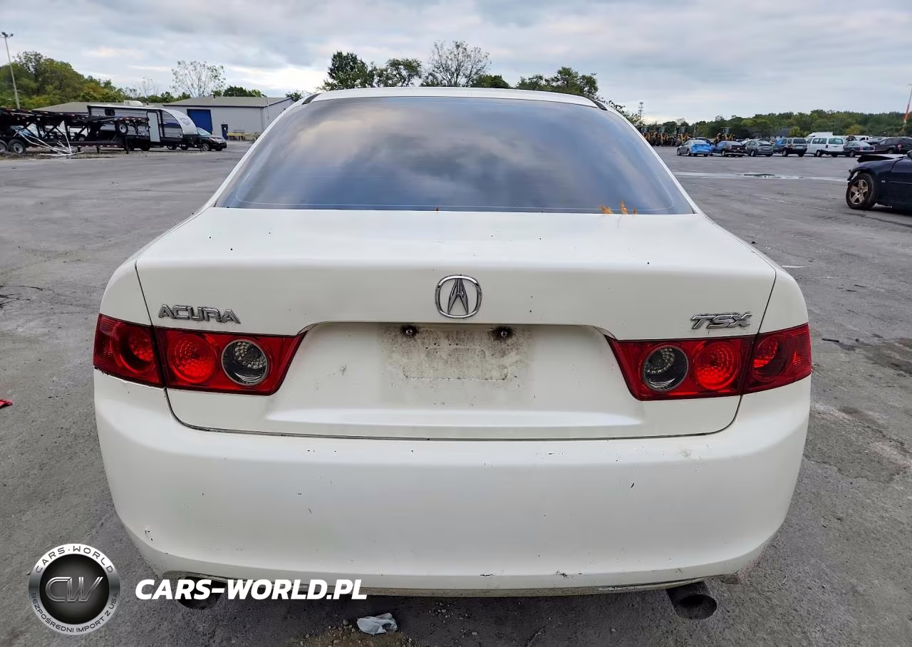 2004 Acura Tsx VIN:JH4CL96994C038893 - 6
