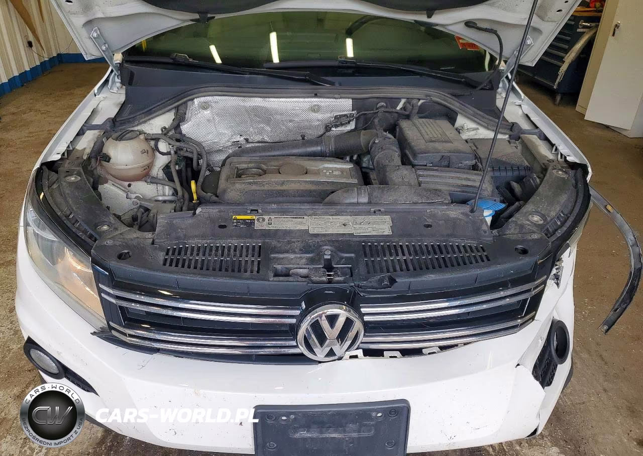 2014 Volkswagen Tiguan S VIN:WVGBV3AX3EW528624 - 12