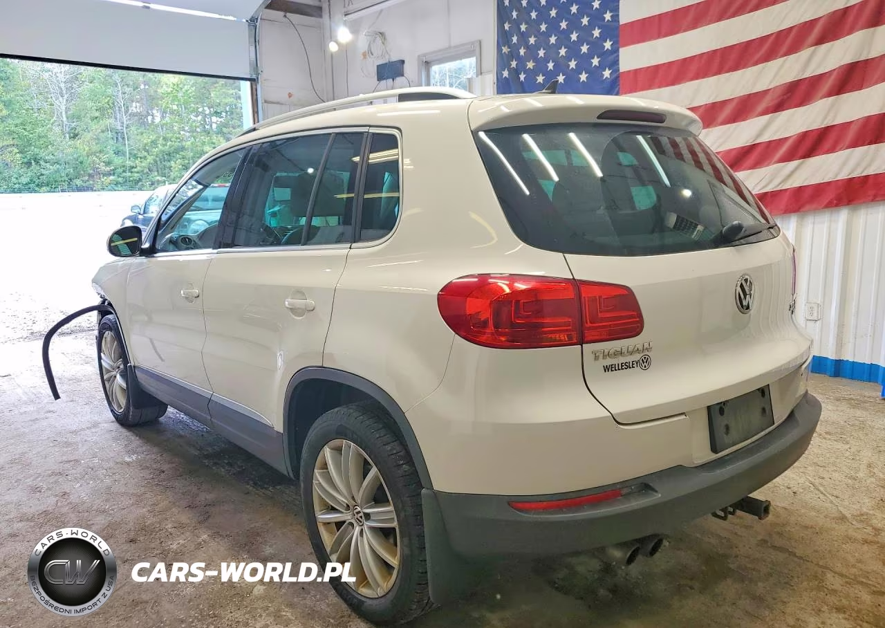 2014 Volkswagen Tiguan S VIN:WVGBV3AX3EW528624 - 2
