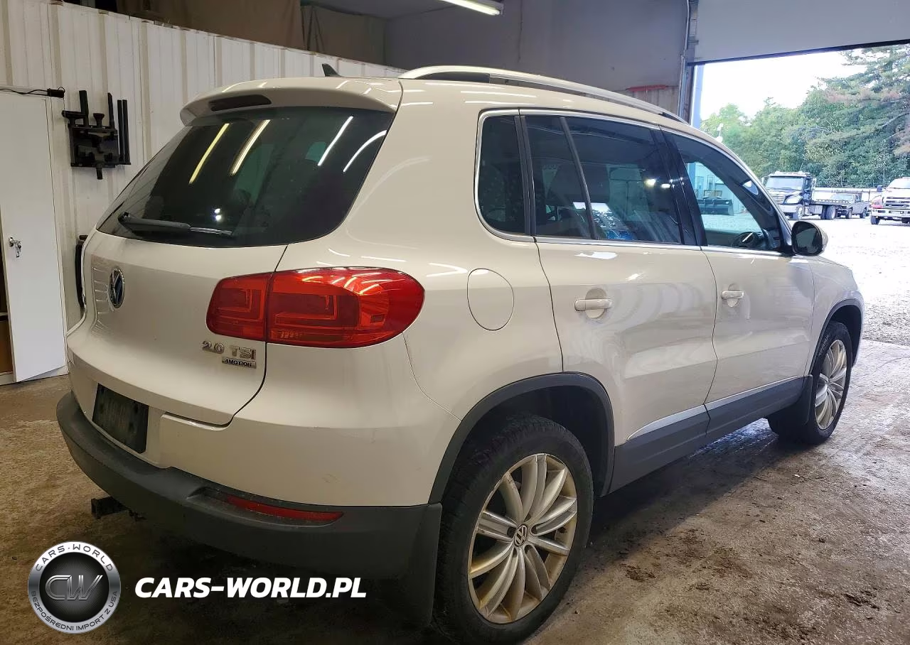 2014 Volkswagen Tiguan S VIN:WVGBV3AX3EW528624 - 3