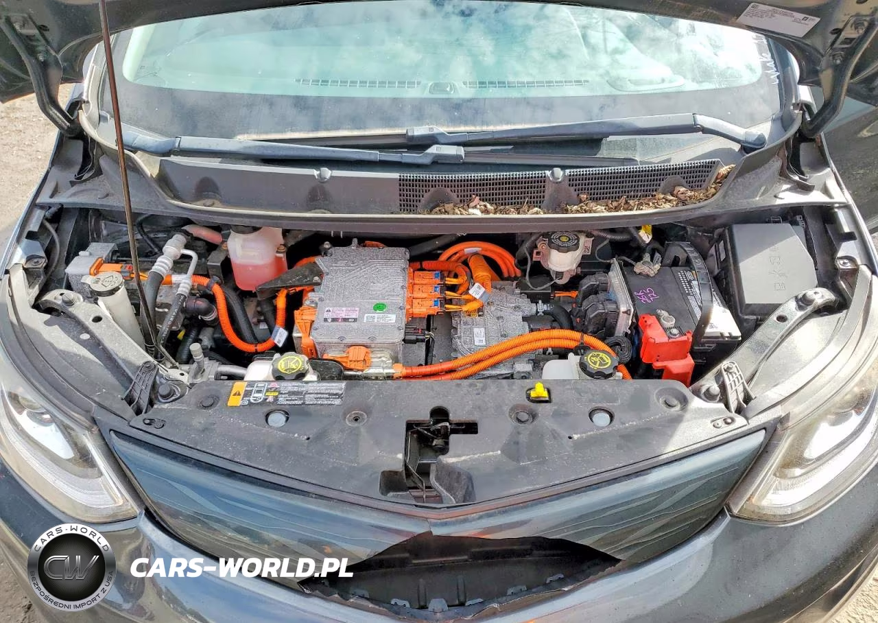 2017 Chevrolet Bolt Ev Premier VIN:1G1FX6S05H4179655 - 11