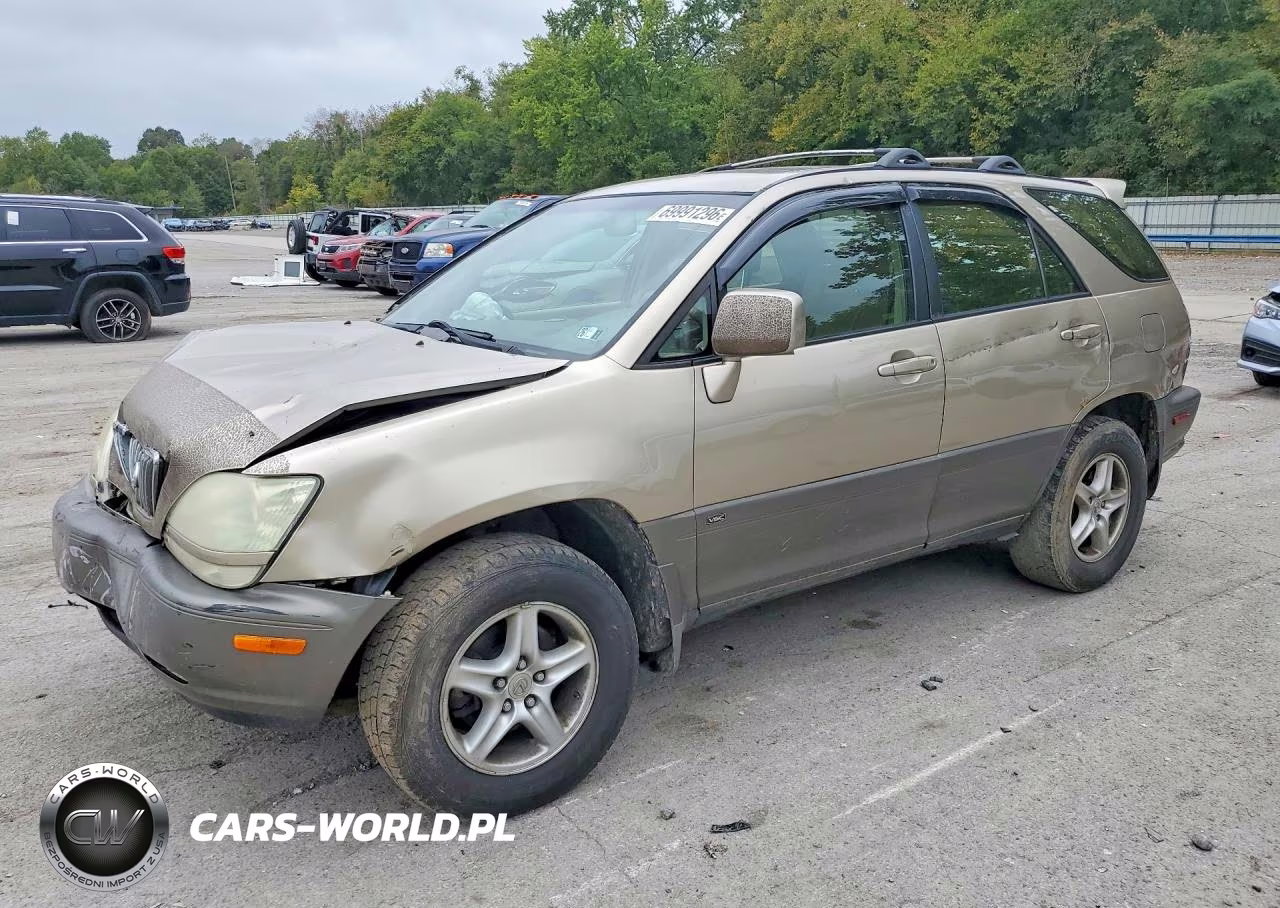 2001 Lexus Rx 300 VIN:JTJHF10U110212009 - 1