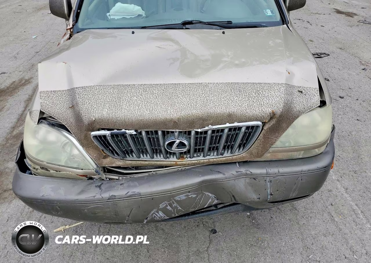 2001 Lexus Rx 300 VIN:JTJHF10U110212009 - 12