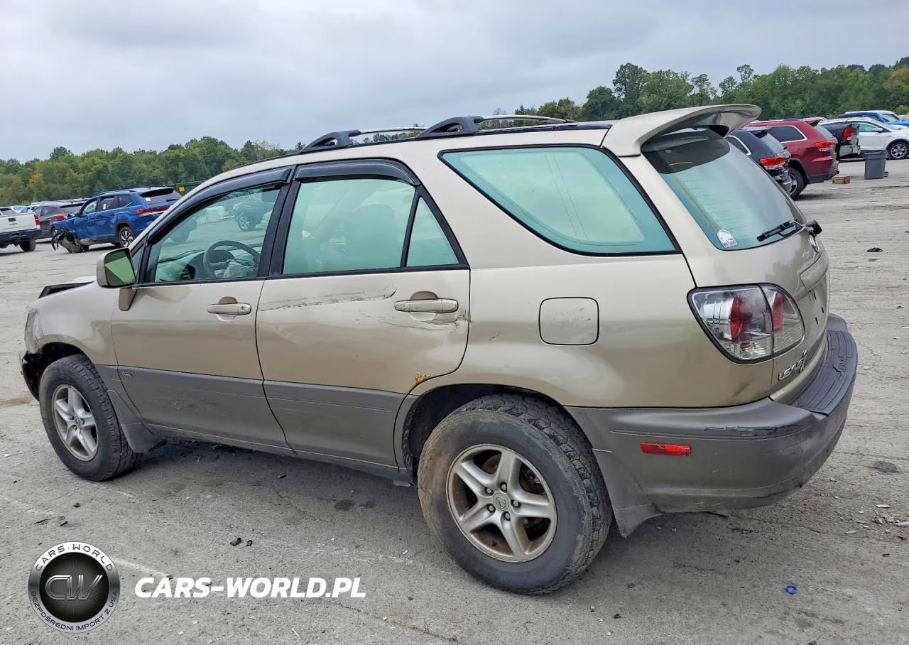 2001 Lexus Rx 300 VIN:JTJHF10U110212009 - 2