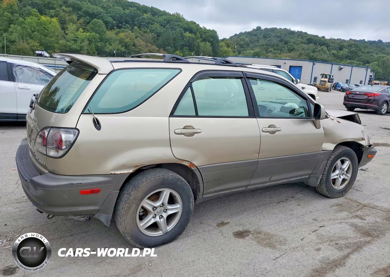 2001 Lexus Rx 300 VIN:JTJHF10U110212009 - 3