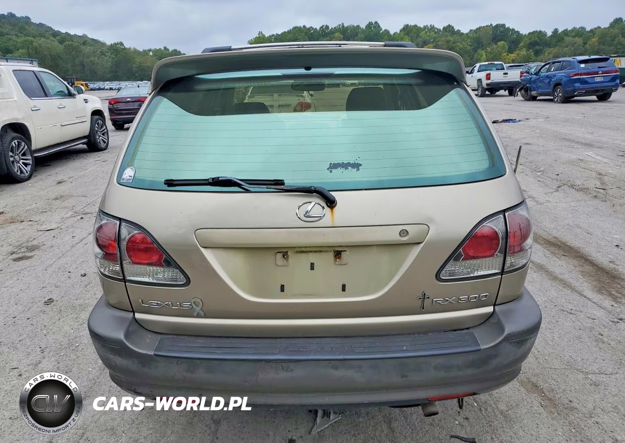 2001 Lexus Rx 300 VIN:JTJHF10U110212009 - 6