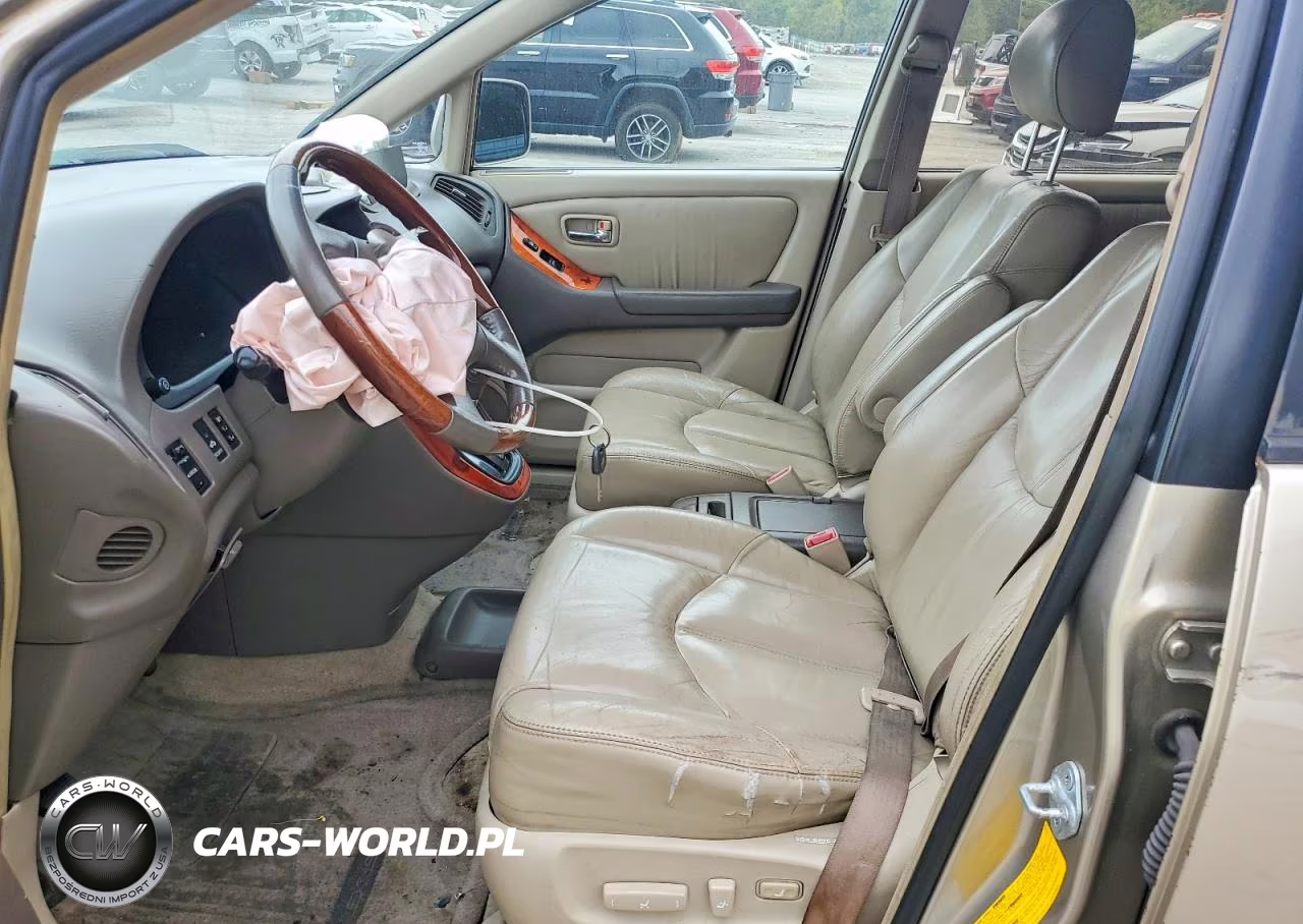 2001 Lexus Rx 300 VIN:JTJHF10U110212009 - 7