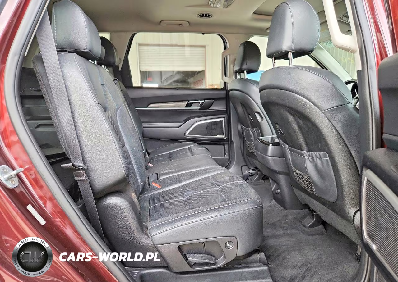 2020 Kia Telluride Ex VIN:5XYP3DHC7LG050081 - 11