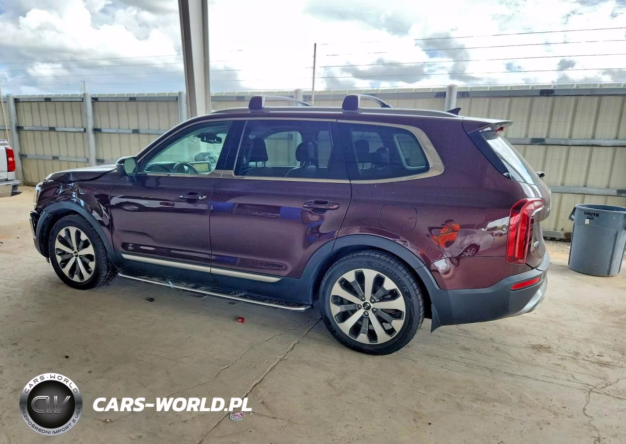 2020 Kia Telluride Ex VIN:5XYP3DHC7LG050081 - 2