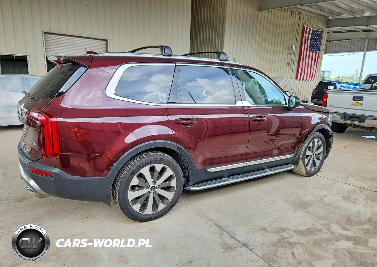 2020 Kia Telluride Ex VIN:5XYP3DHC7LG050081 - 3