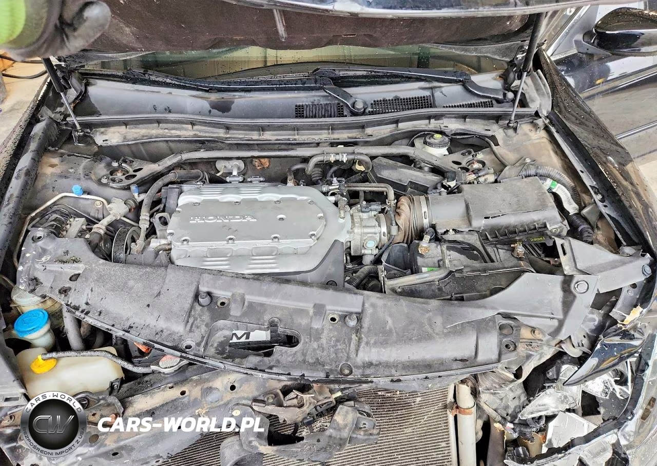 2008 Honda Accord Exl VIN:1HGCP36858A070284 - 11