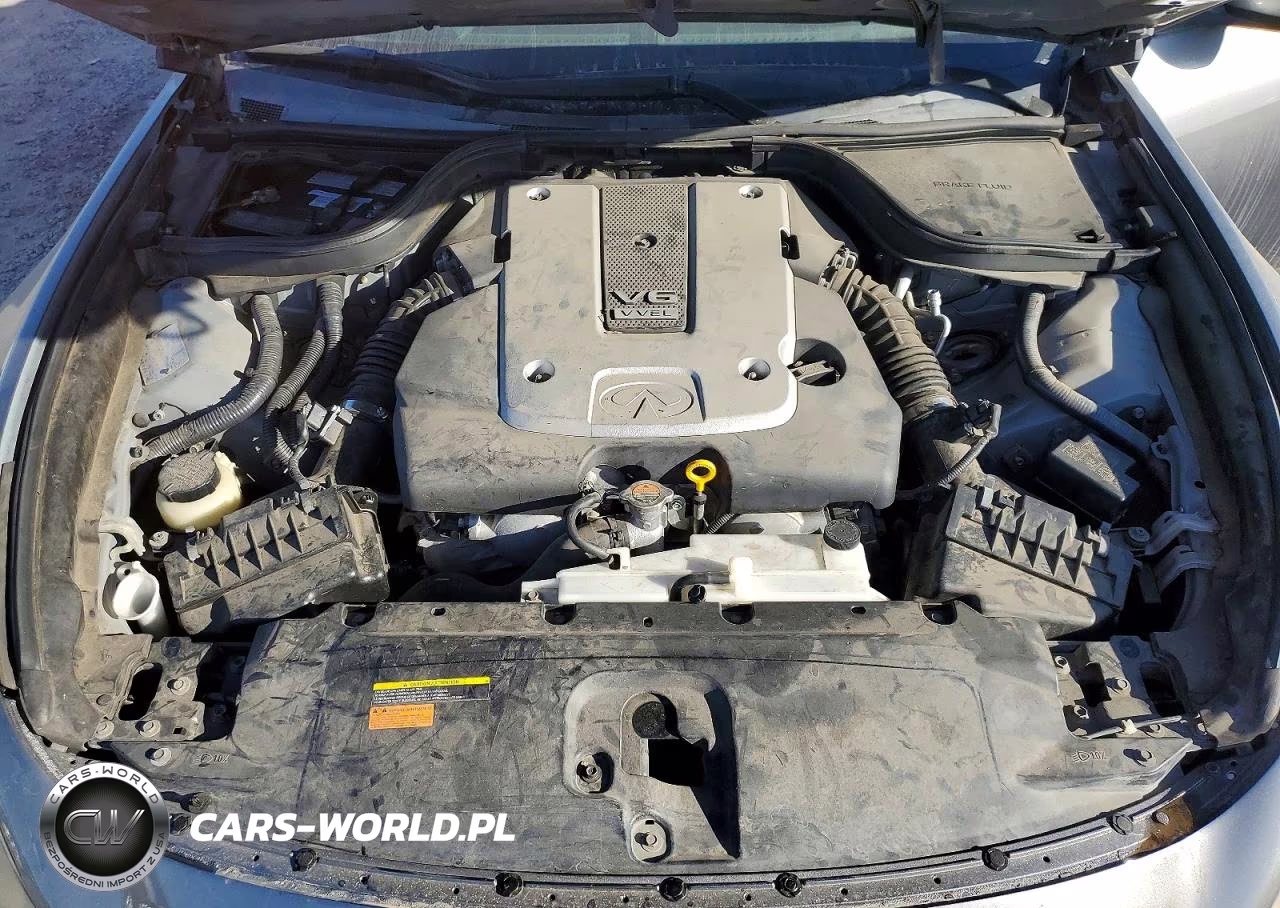 2010 Infiniti G37 Convertible Base VIN:JN1CV6FE7AM355118 - 11