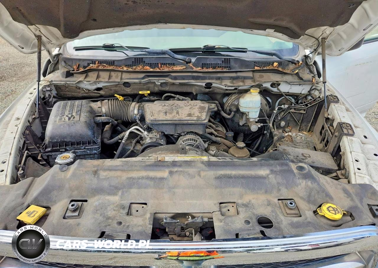2010 Dodge Ram 1500 VIN:3D7JB1EP6AG106319 - 11