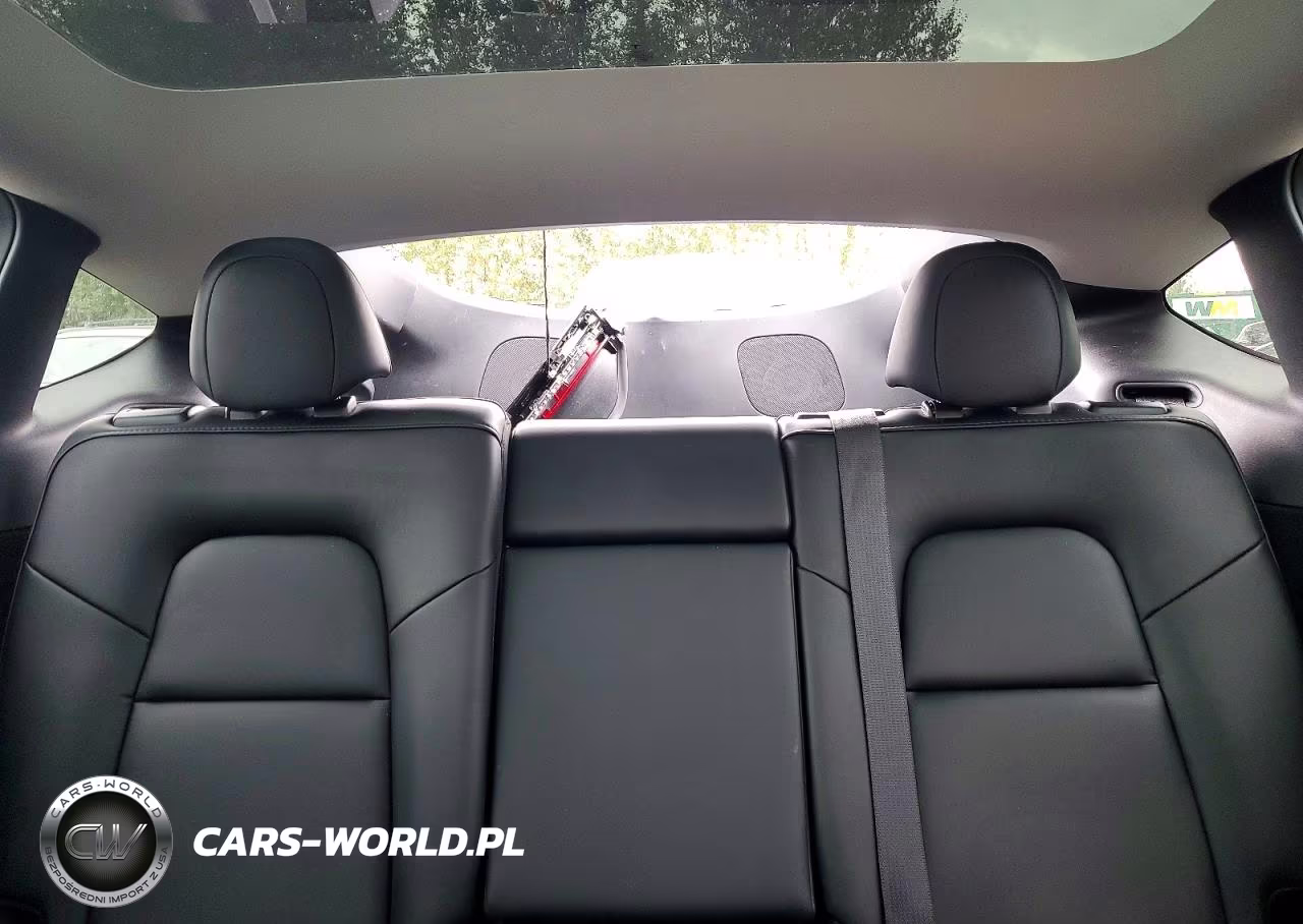 2023 Tesla Model Y VIN:7SAYGDEE6PA169557 - 10