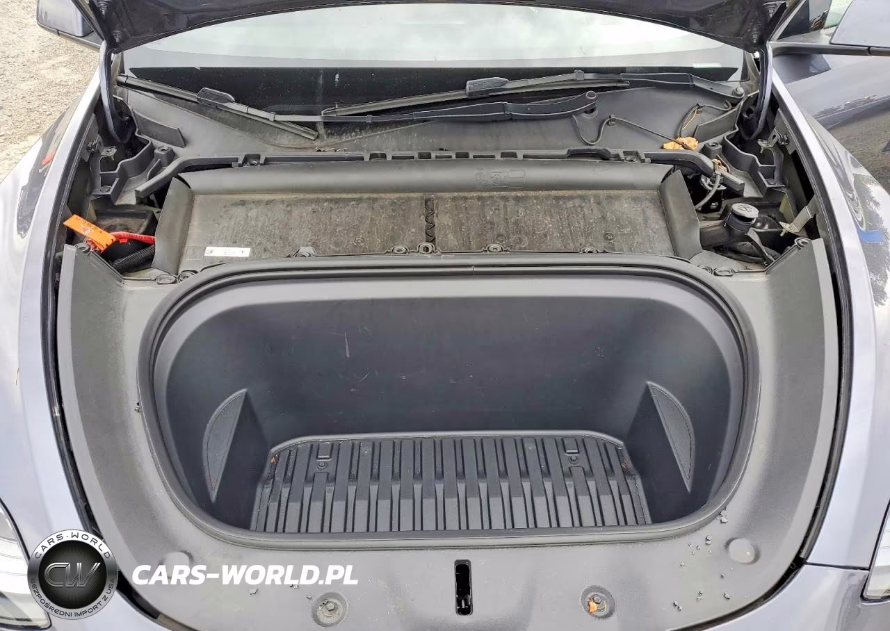 2023 Tesla Model Y VIN:7SAYGDEE6PA169557 - 12
