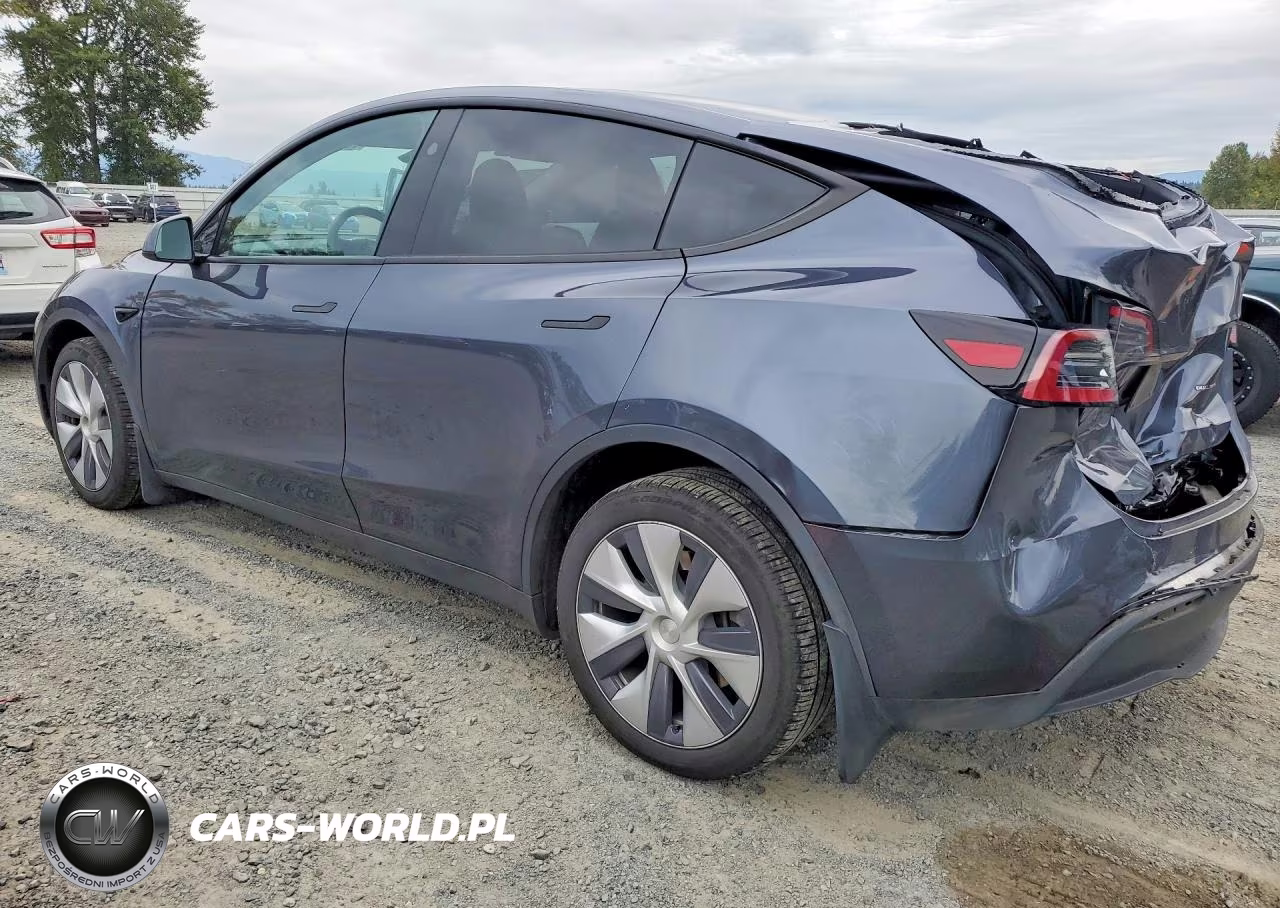 2023 Tesla Model Y VIN:7SAYGDEE6PA169557 - 2