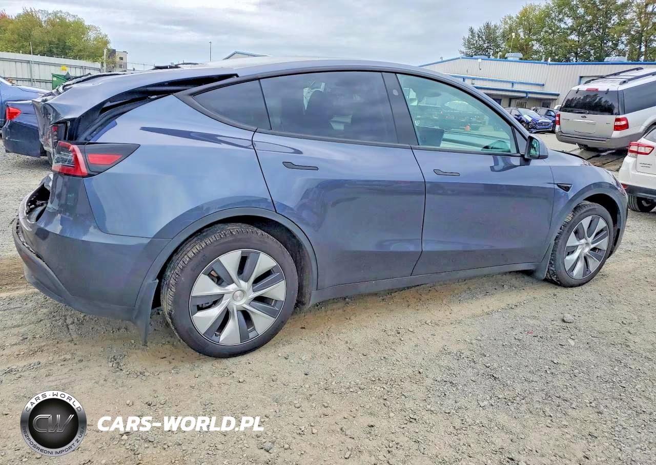 2023 Tesla Model Y VIN:7SAYGDEE6PA169557 - 3