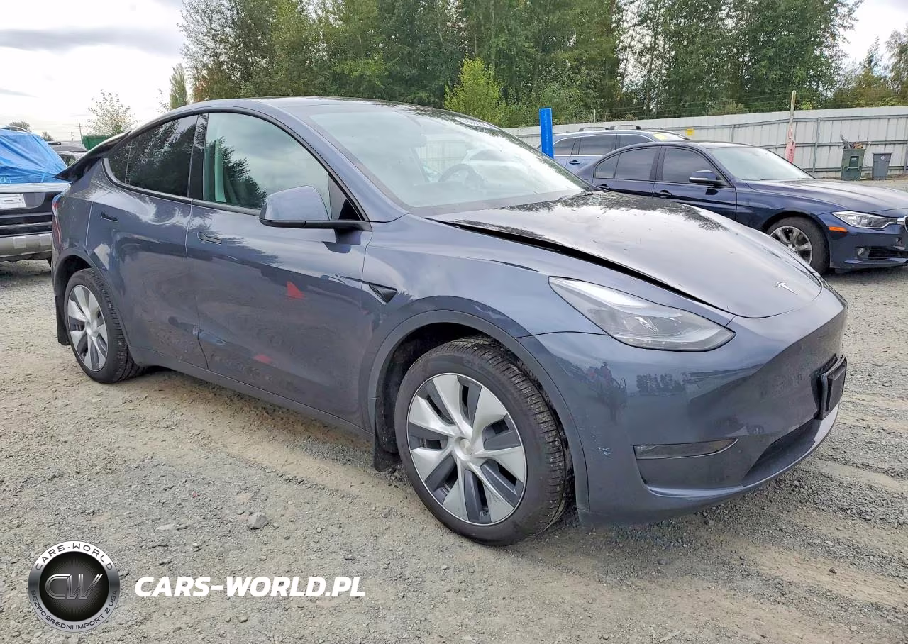 2023 Tesla Model Y VIN:7SAYGDEE6PA169557 - 4