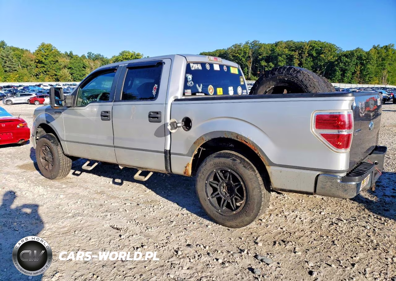 2009 Ford F150 Supercrew VIN:1FTRW12829FA88719 - 2