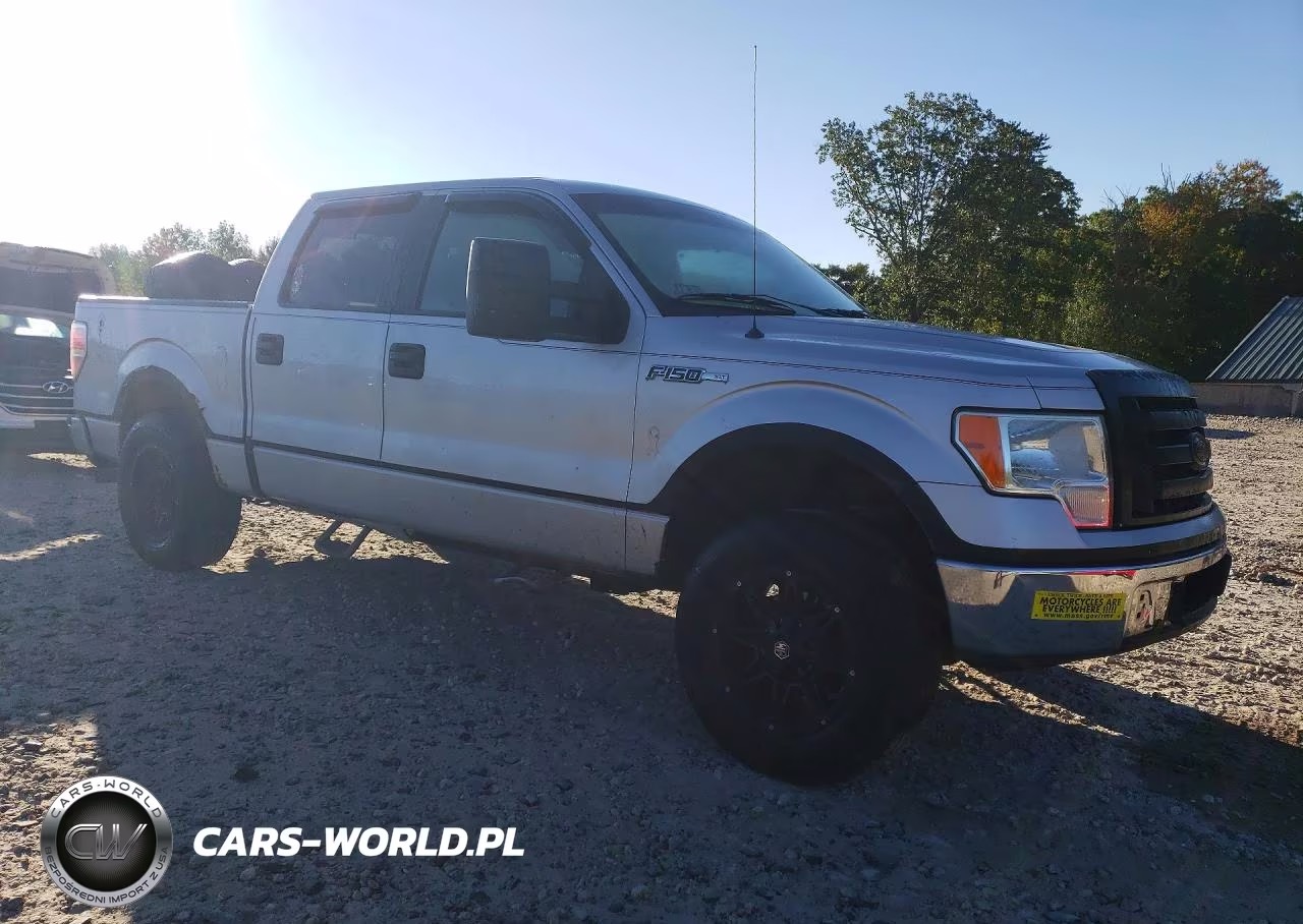 2009 Ford F150 Supercrew VIN:1FTRW12829FA88719 - 4