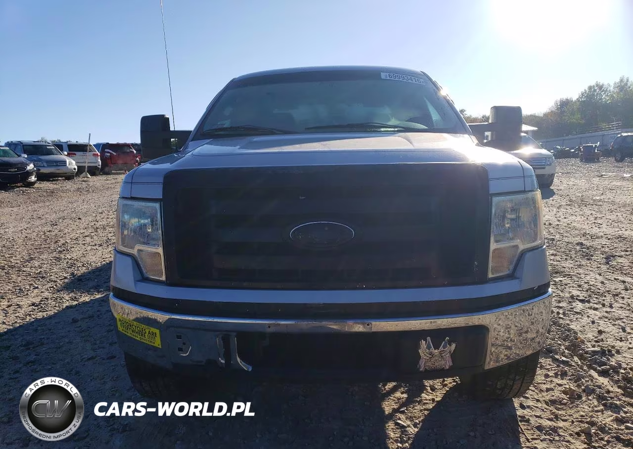 2009 Ford F150 Supercrew VIN:1FTRW12829FA88719 - 5