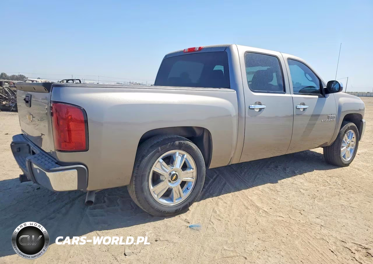 2013 Chevrolet Silverado C1500 Lt VIN:3GCPCSE04DG151645 - 3