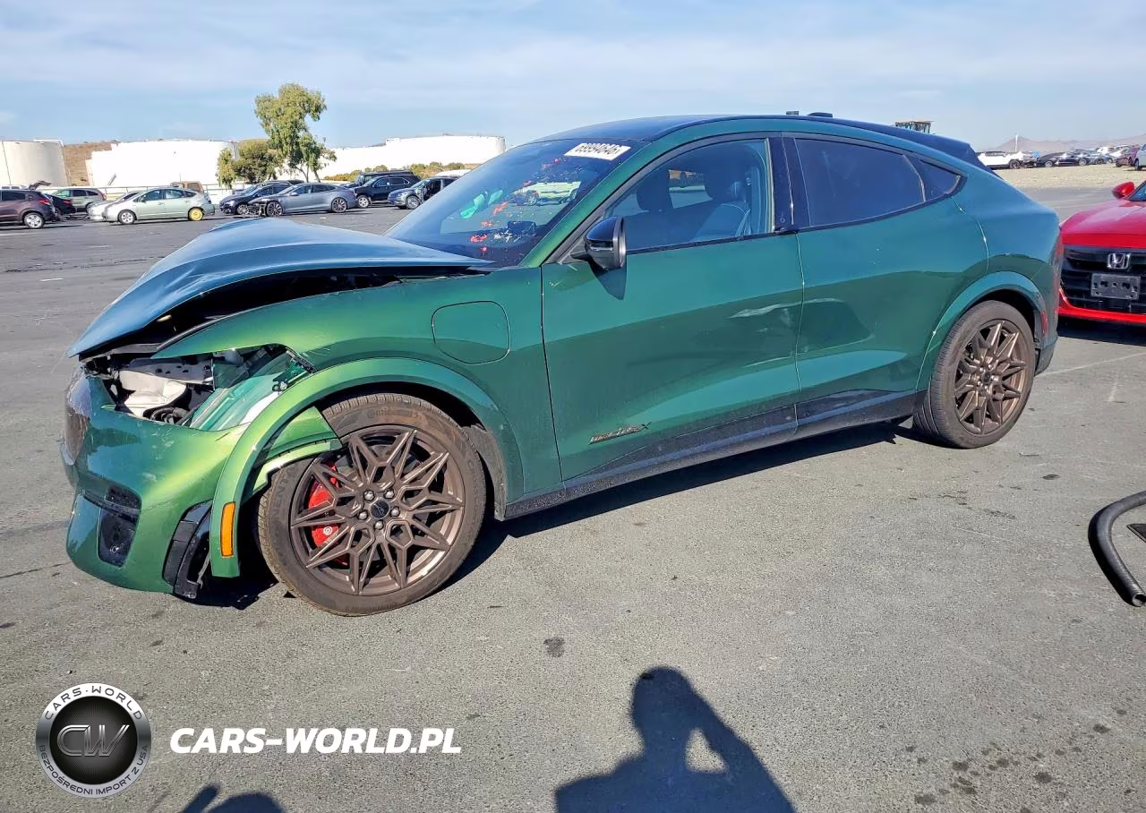2025 Ford Mustang Mach-E Gt VIN:3FMTK4SX1SMA10055 - 1