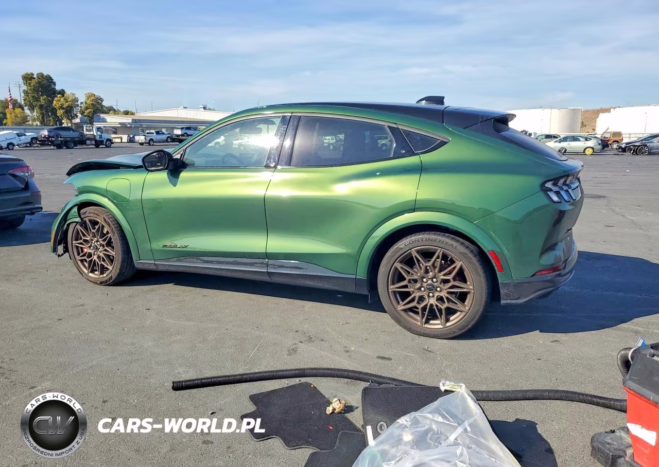 2025 Ford Mustang Mach-E Gt VIN:3FMTK4SX1SMA10055 - 2