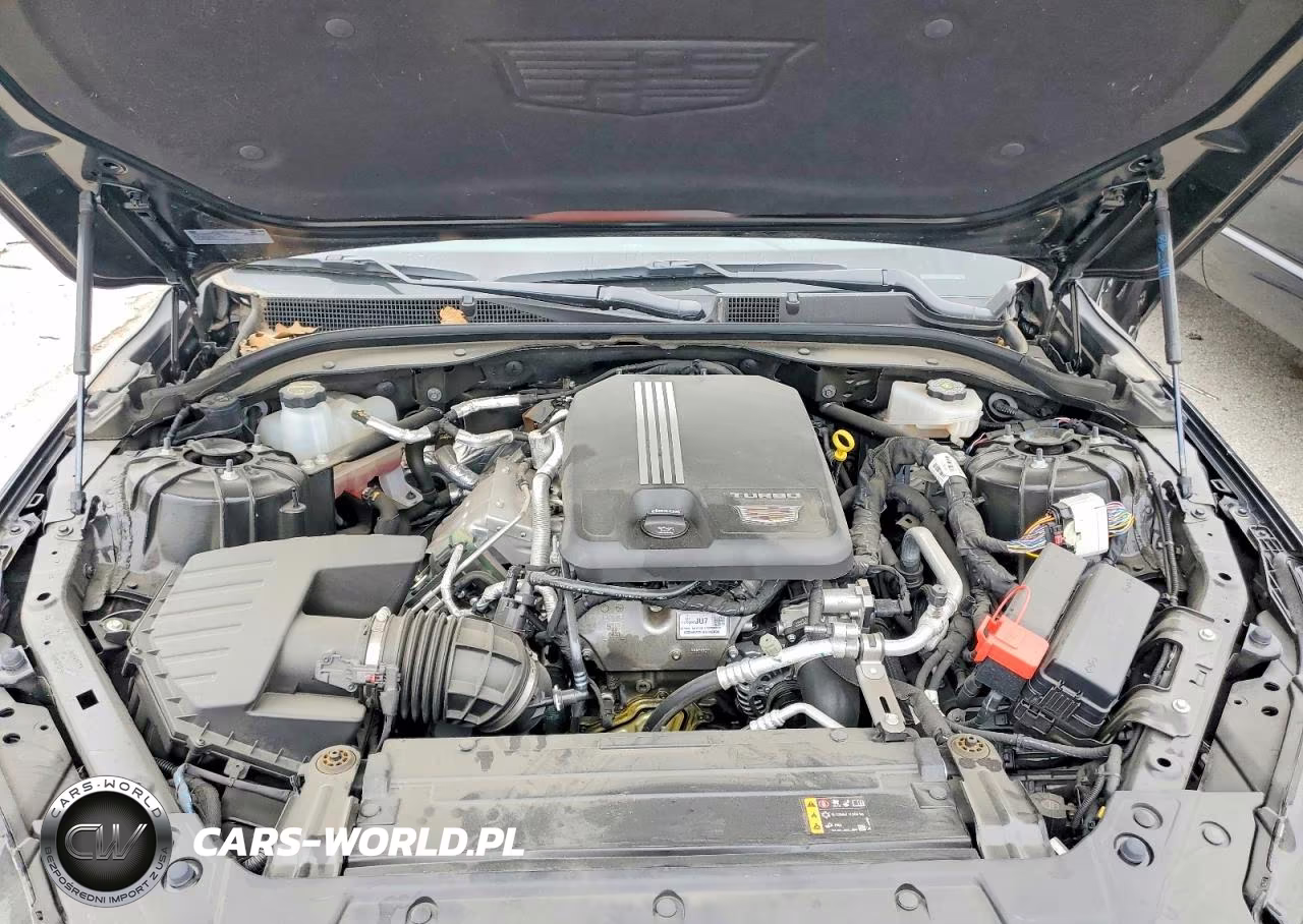 2024 Cadillac Ct5 Premium Luxury VIN:1G6DT5RK9R0129431 - 11