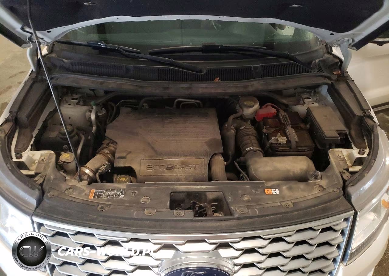 2019 Ford Explorer Platinum VIN:1FM5K8HT2KGA51888 - 12