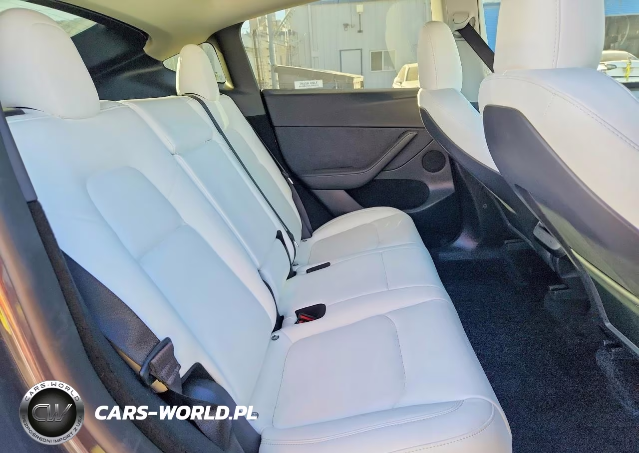 2023 Tesla Model Y VIN:7SAYGDEE0PF927251 - 10