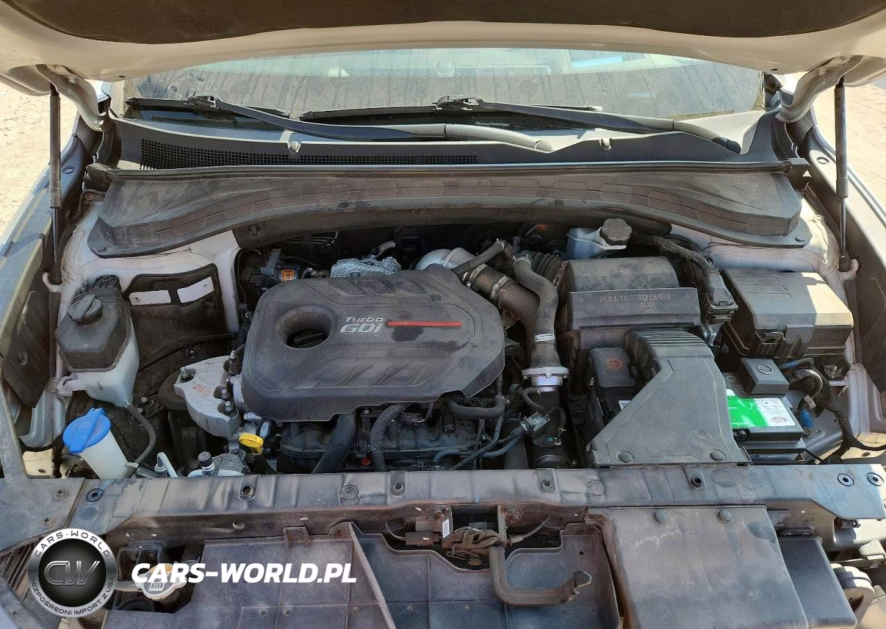 2019 Hyundai Santa Fe Ultimate 2.0T VIN:5NMS53AA5KH131785 - 12