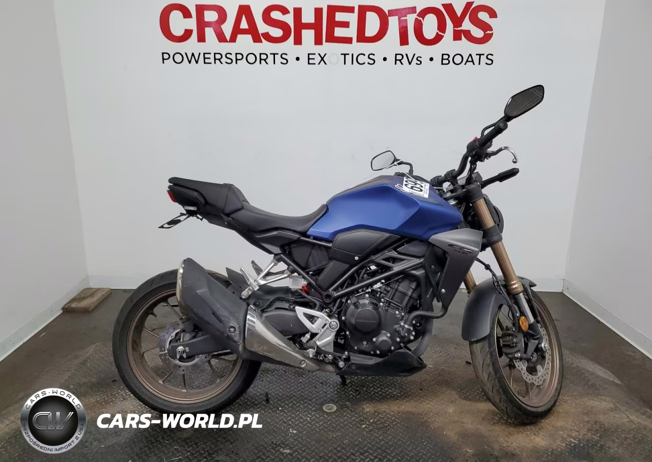 2022 Honda Cbf300 Na