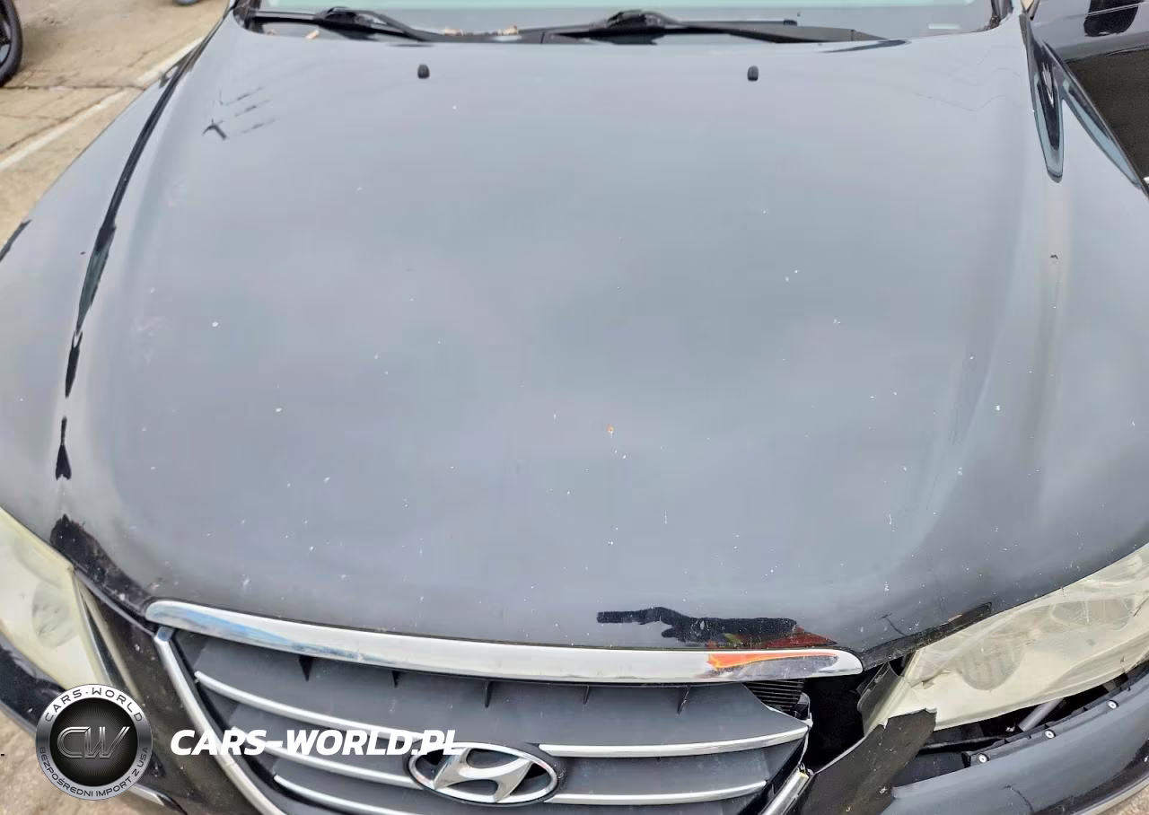 2009 Hyundai Sonata Limited V6 VIN:5NPEU46F09H531499 - 11