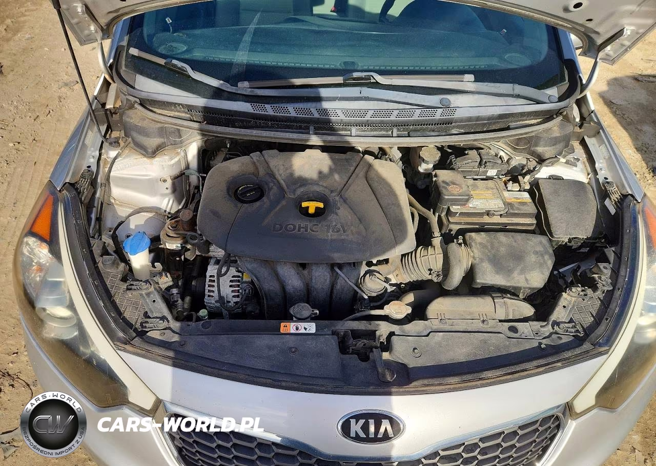 2015 Kia Forte Lx VIN:KNAFX4A69F5429405 - 11