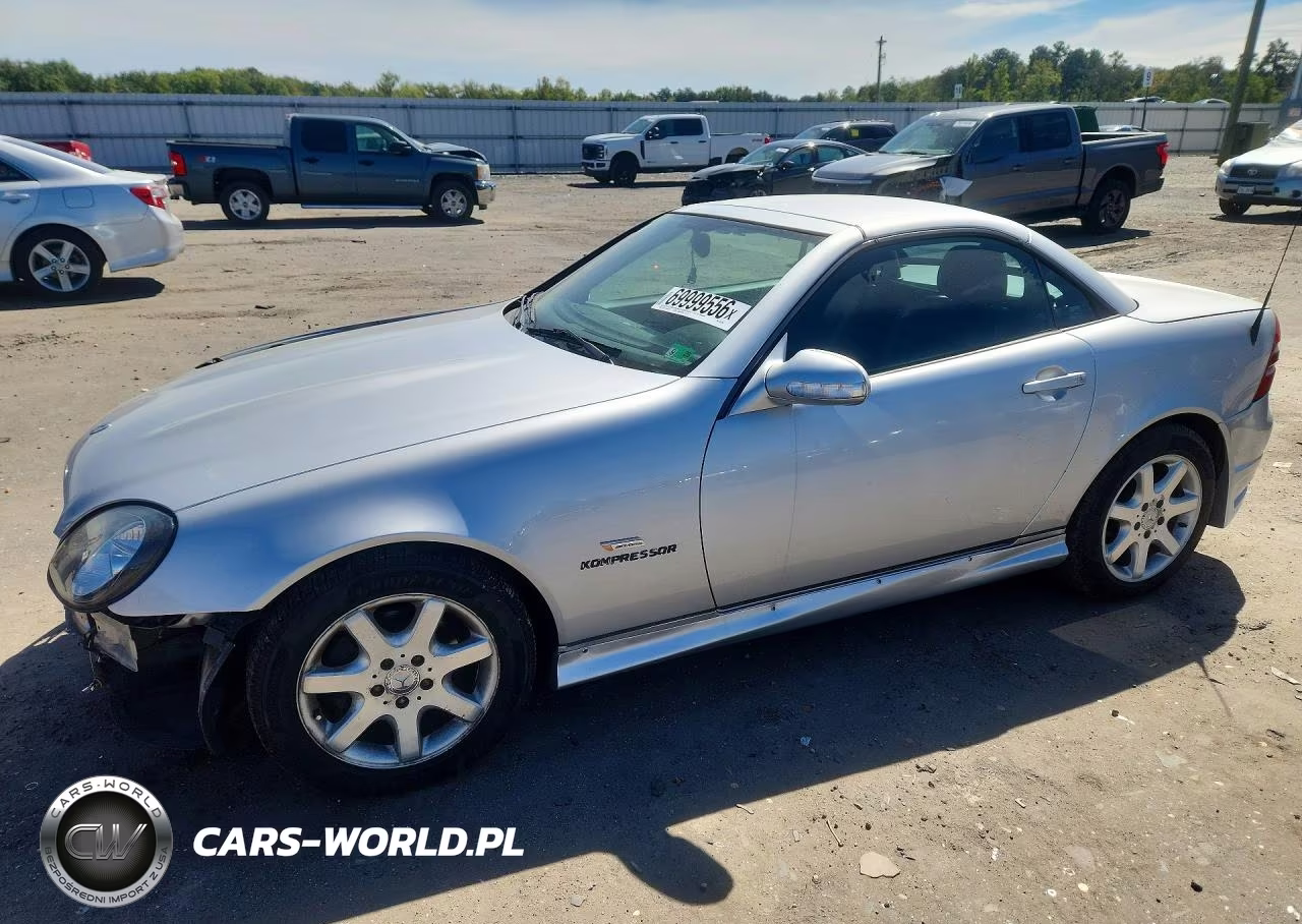2003 Mercedes-Benz Slk 230 Kompressor VIN:WDBKK49F93F276789 - 1