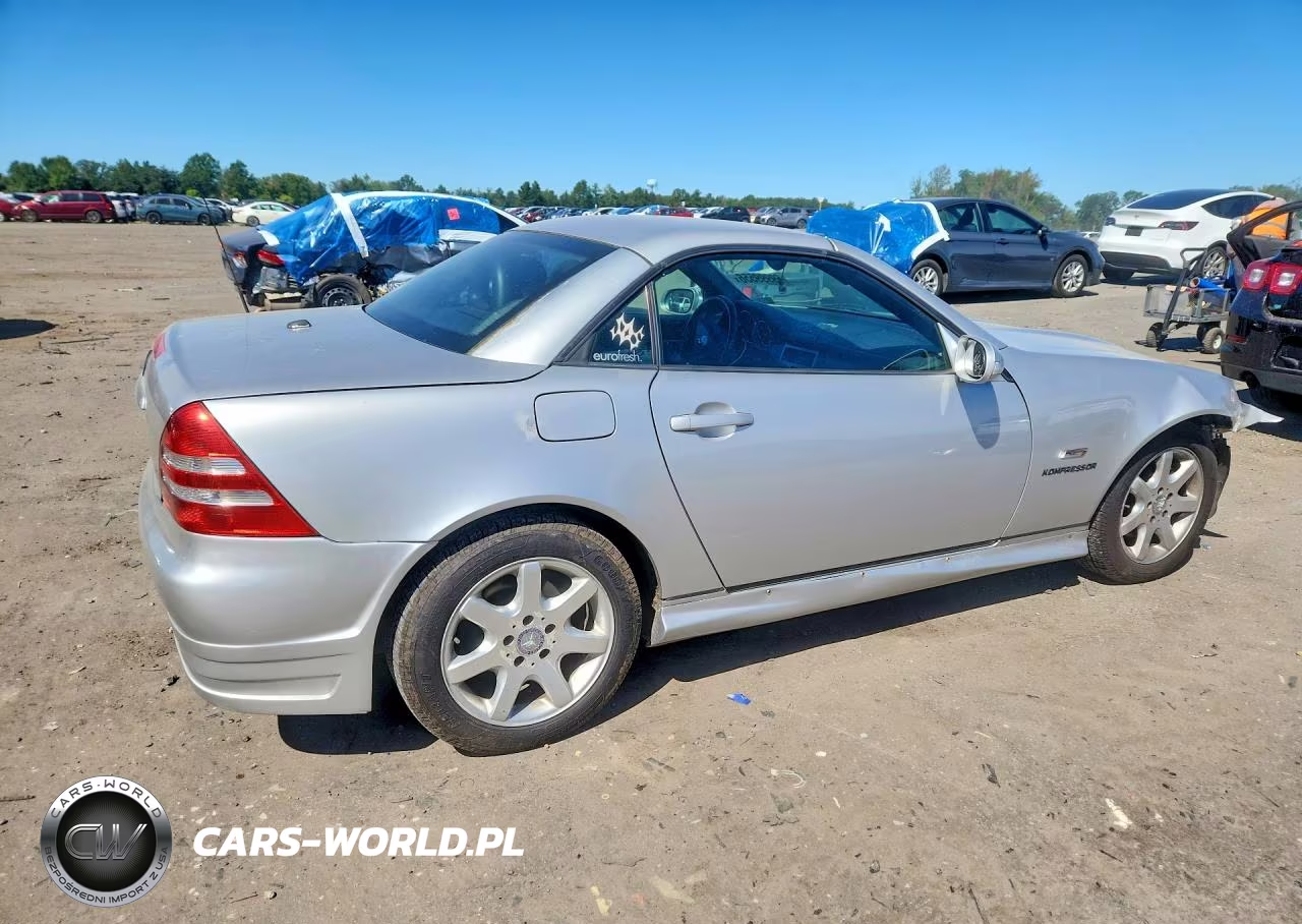 2003 Mercedes-Benz Slk 230 Kompressor VIN:WDBKK49F93F276789 - 3