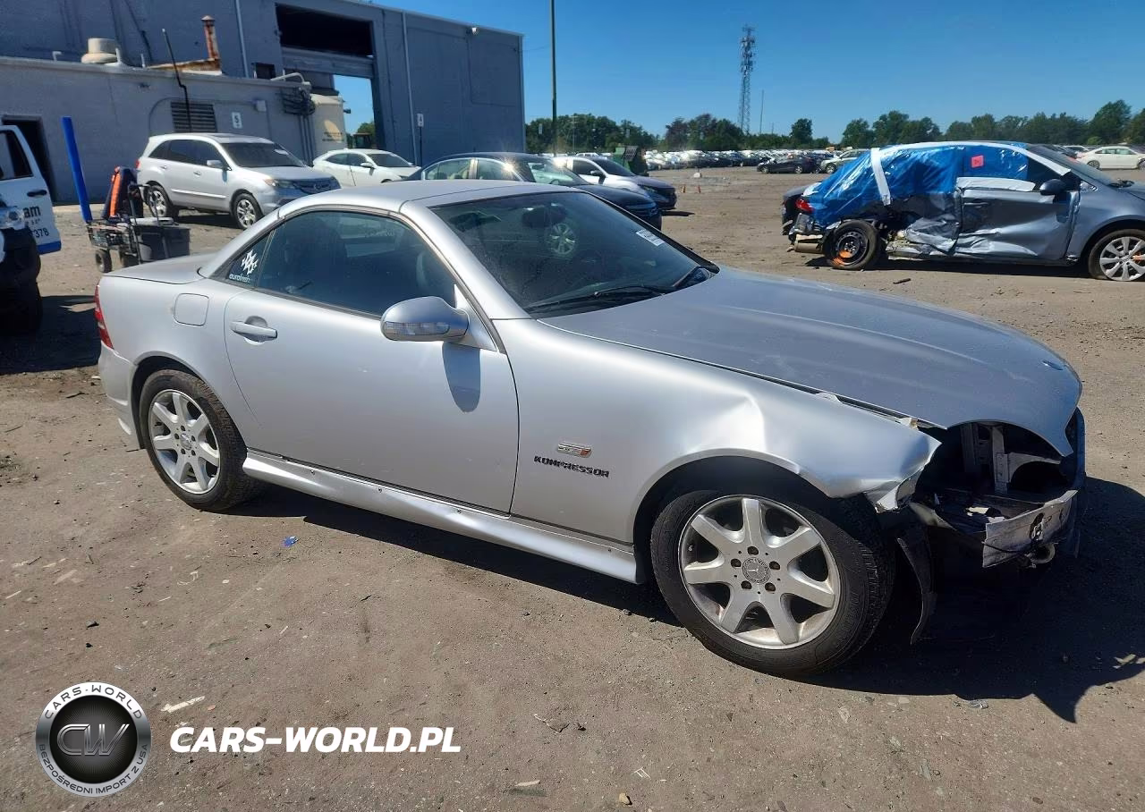 2003 Mercedes-Benz Slk 230 Kompressor VIN:WDBKK49F93F276789 - 4