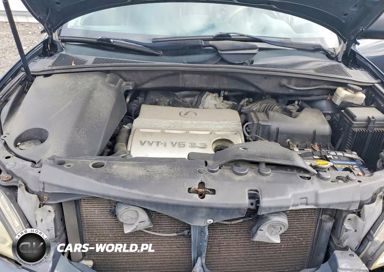 2005 Lexus Rx 330 VIN:2T2HA31U55C054048 - 12