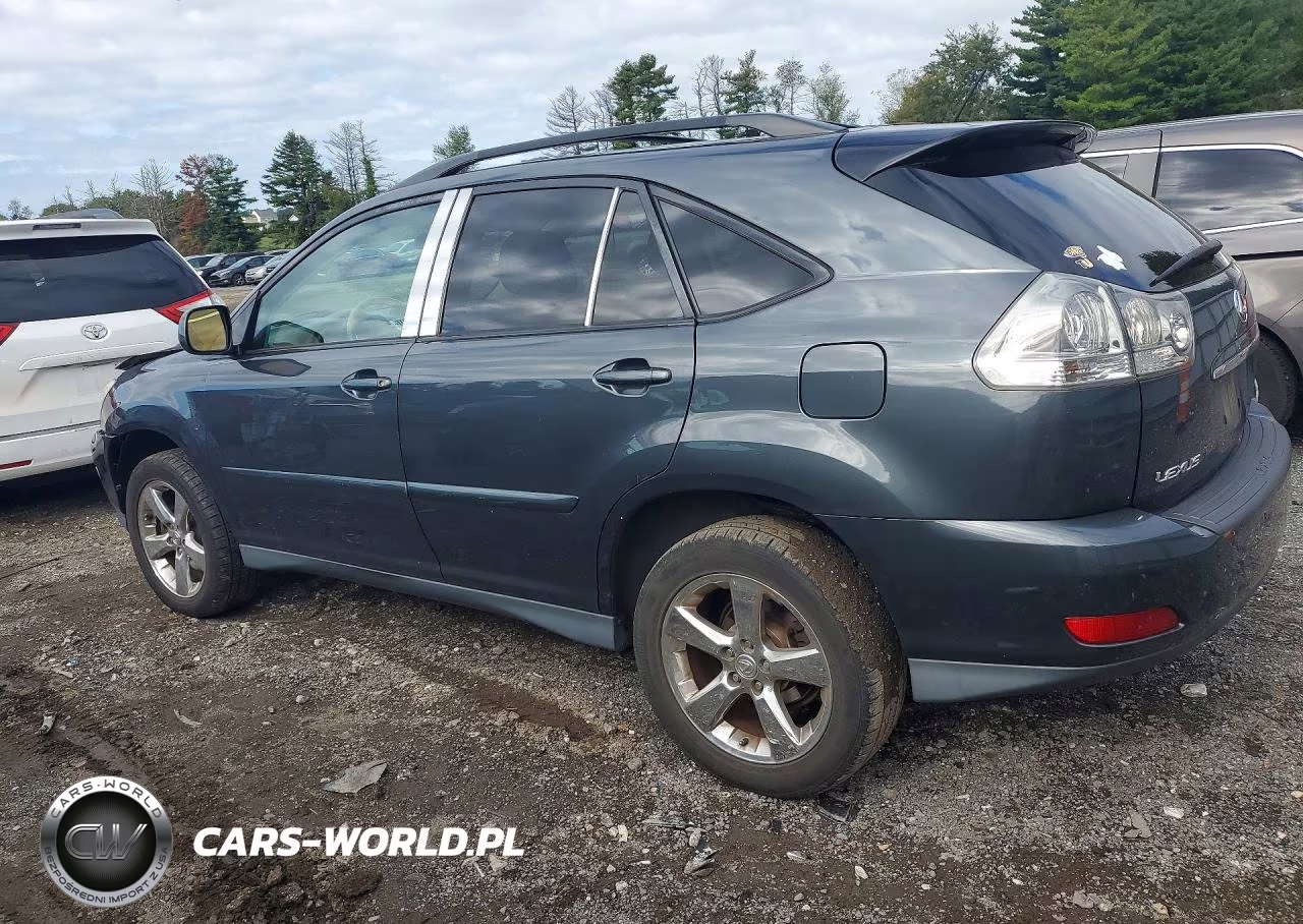 2005 Lexus Rx 330 VIN:2T2HA31U55C054048 - 2