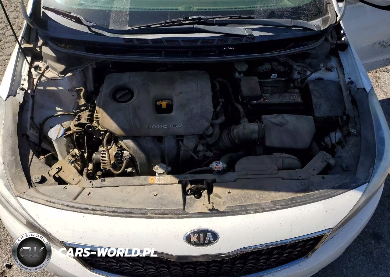 2017 Kia Forte Lx VIN:3KPFK4A78HE091223 - 11