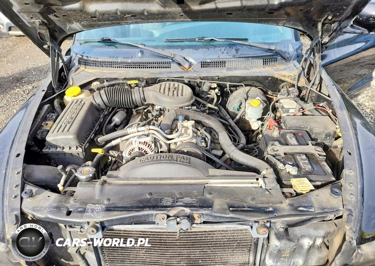 1999 Dodge Durango VIN:1B4HS28Z5XF655352 - 12