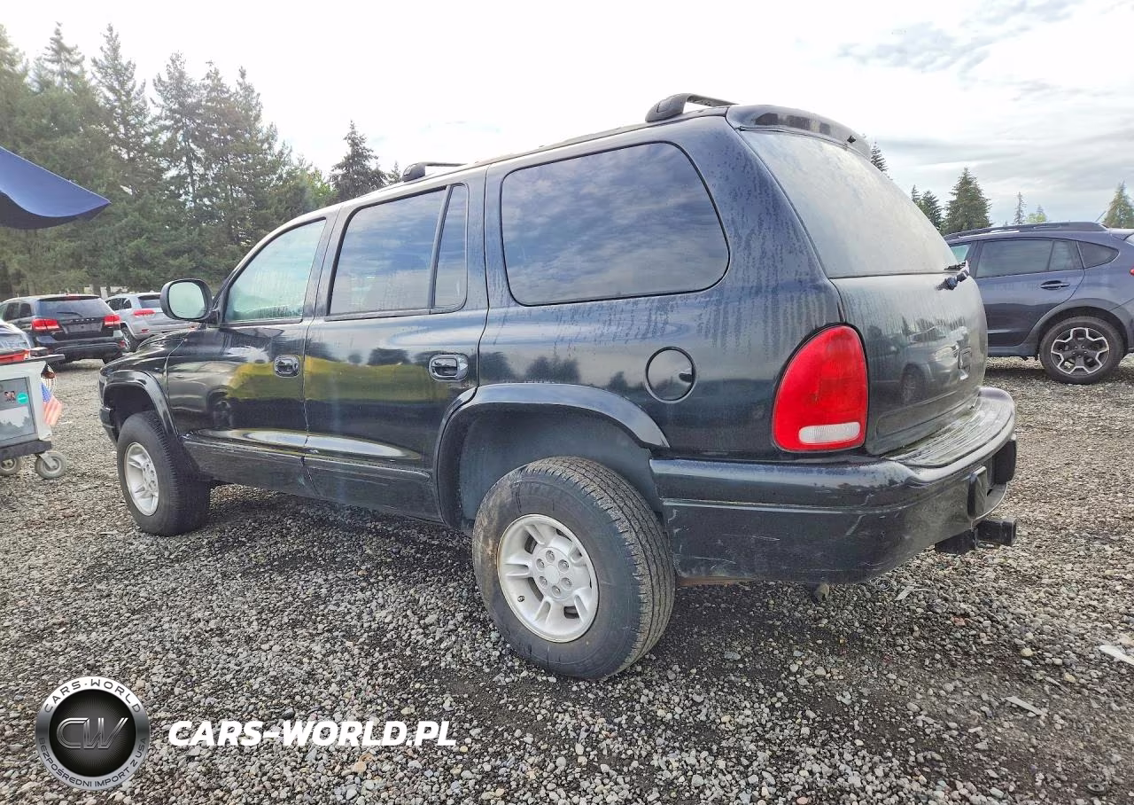 1999 Dodge Durango VIN:1B4HS28Z5XF655352 - 2