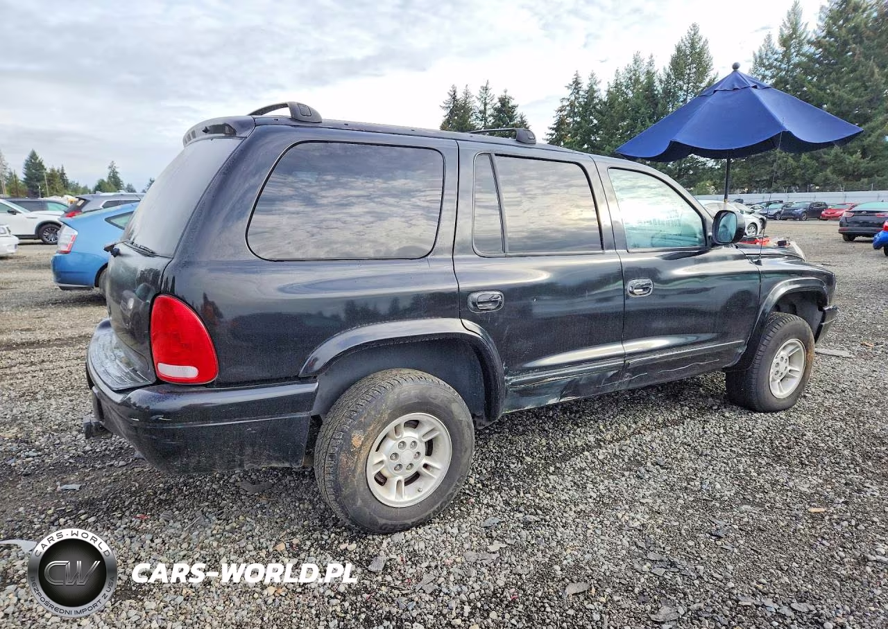1999 Dodge Durango VIN:1B4HS28Z5XF655352 - 3