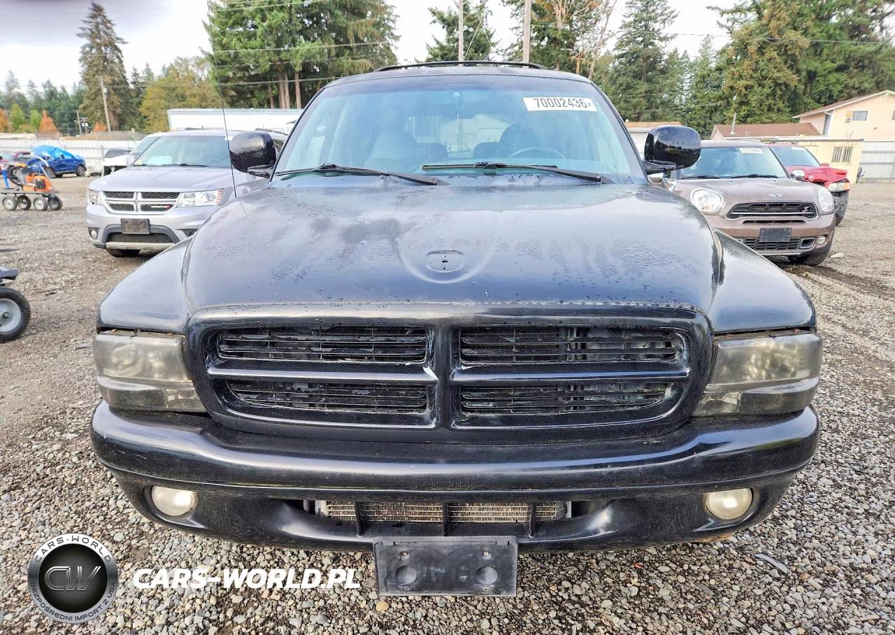 1999 Dodge Durango VIN:1B4HS28Z5XF655352 - 5