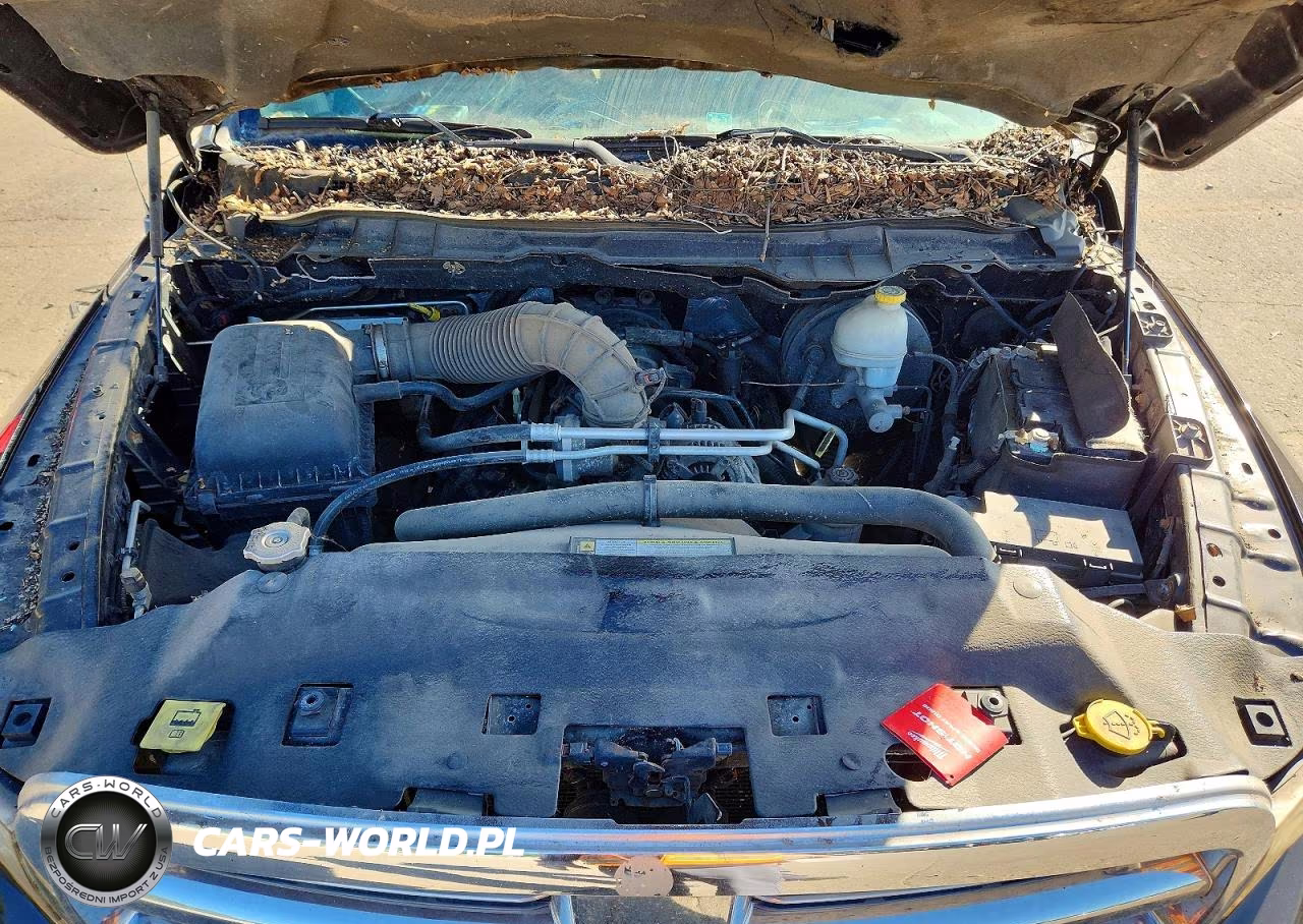 2011 Dodge Ram 1500 VIN:1D7RV1GT9BS556996 - 11