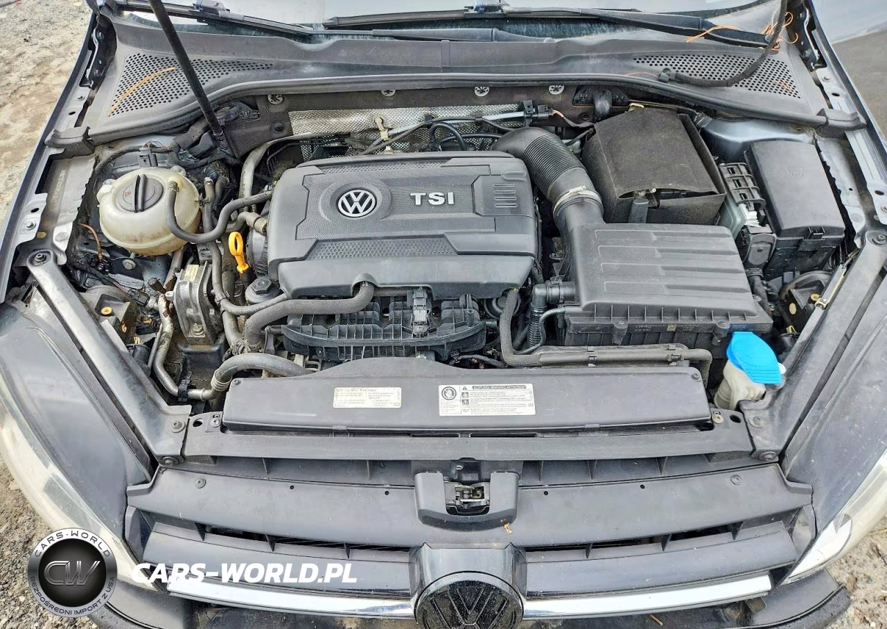2016 Volkswagen Golf Sportwagen S VIN:3VWC17AU3GM501621 - 11