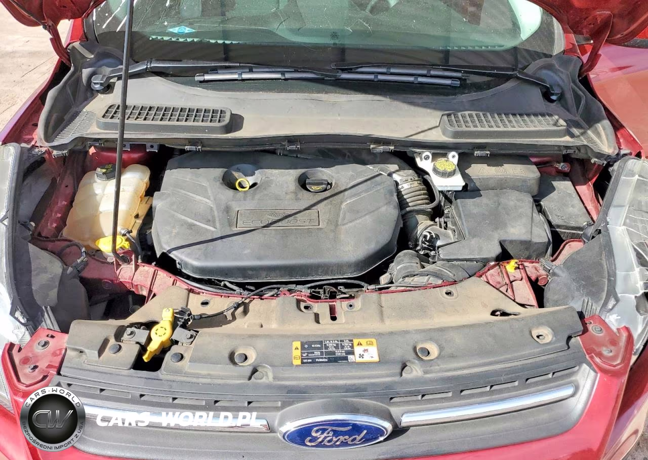 2016 Ford Escape Se VIN:1FMCU0G98GUA39830 - 12