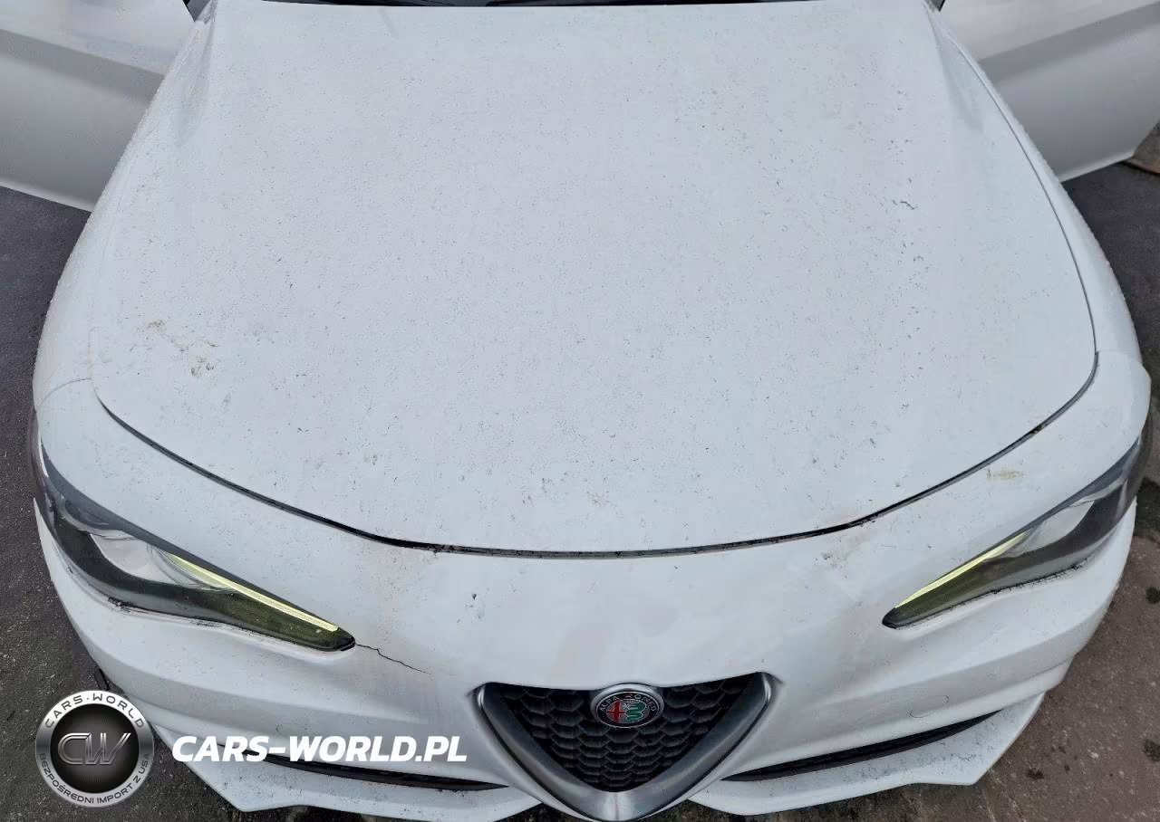 2017 Alfa Romeo Giulia VIN:ZARFAEBN8H7555123 - 11