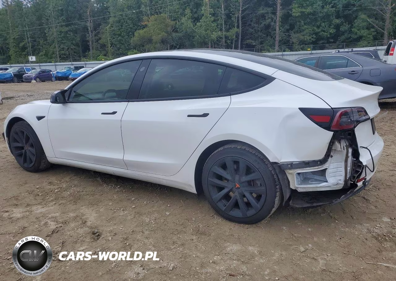 2020 Tesla Model 3 VIN:5YJ3E1EA5LF598002 - 2